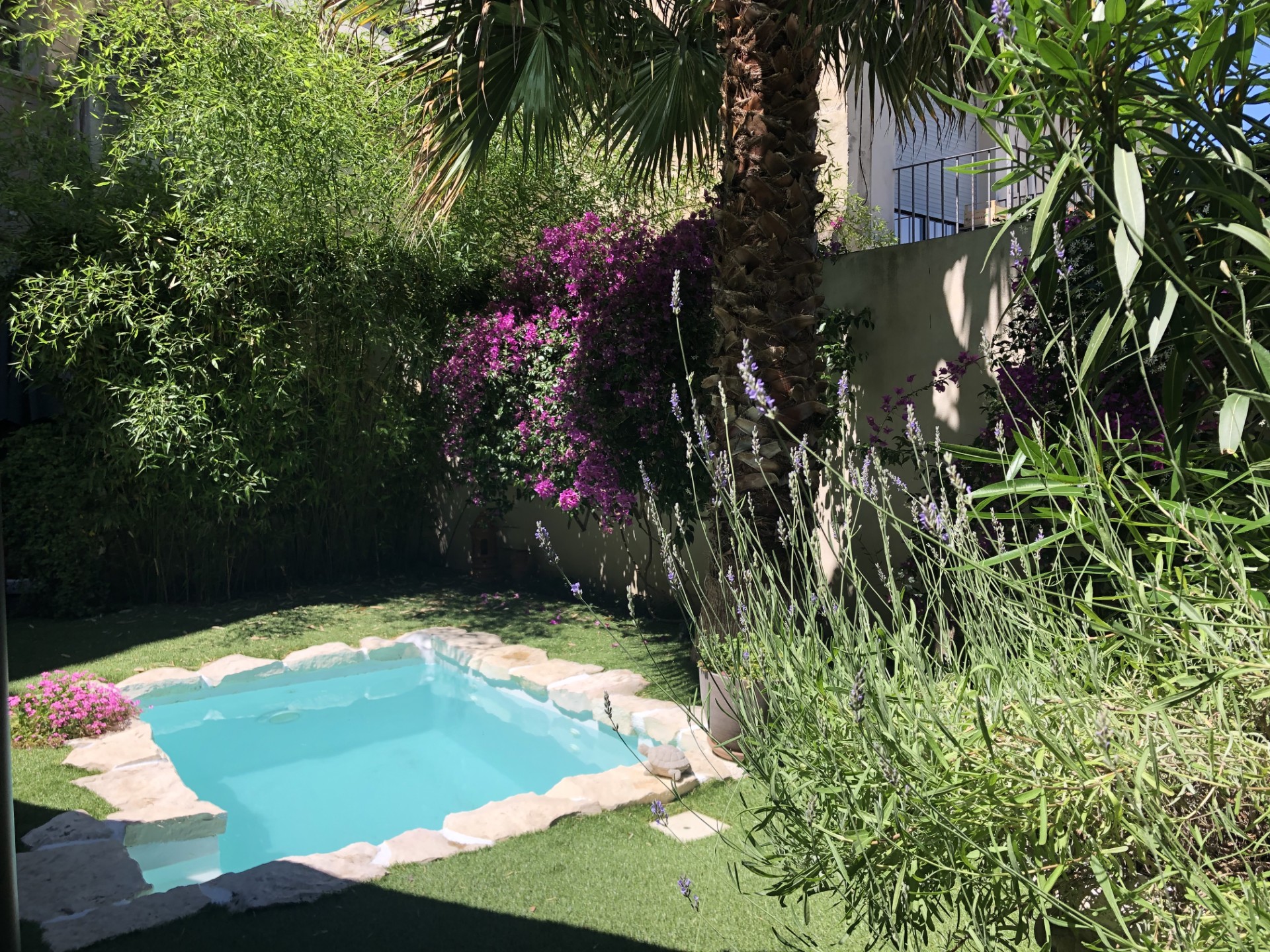 Jardin avec petite piscine pour vos moments "Relax"